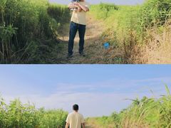 -南汇嘴观海公园