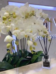 -MIVI野生眉纹绣纹眉