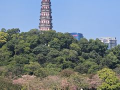 -顺峰山公园