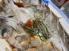 清蒸海鲈鱼-全聚德(胜利大街店)