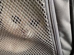 -米苏动物医院·犬猫专科·骨科外科内窥镜