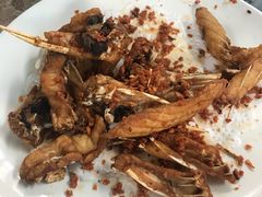 -正能量脆肉鲩火锅