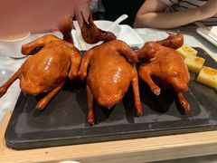 -大鸽饭(体育西路店)