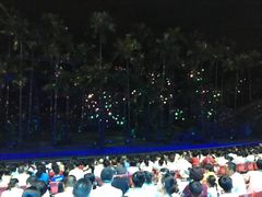 -三亚红色娘子军演艺公园景区