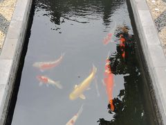 -西安市广仁寺