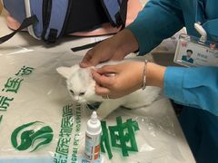 -瑞派宠物医院·24h·骨外科·皮肤科·全科宠物医疗转诊中心(沈阳浑南院)