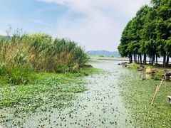 -东钱湖水上乐园(南门)