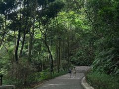 -广州市帽峰山景区