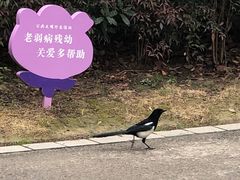 -白塘生态植物园