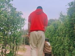 -铁山坪森林公园