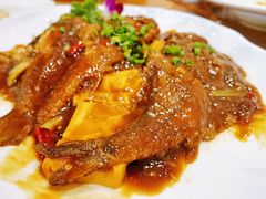小黄鱼烧豆腐-勺园中餐厅
