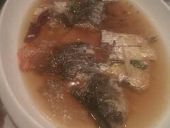 鲥鱼-御花园·粤菜·海鲜火锅(中山公园店)