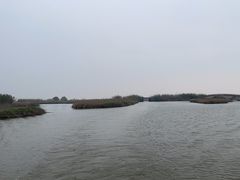 -宁波杭州湾国家湿地公园
