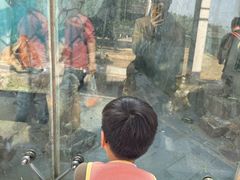 -无锡动物园·太湖欢乐园