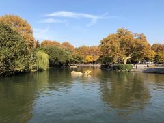 -西湖天地