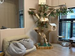 -唐小姐の私宠·宠物洗护美容·撸猫馆·购宠(周浦万达旗舰店)