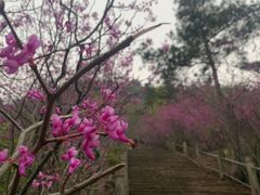 -天台山赤城山景区