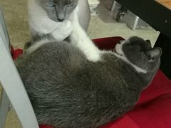 -MIKAKU(万达广场上海宝山店)