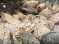 -壹家水货·小海鲜