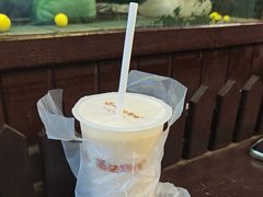 -猫的魔法密林(衣裳街店)