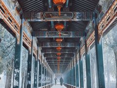 -颐和园