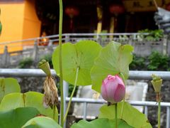 -天目山-昭明禅寺