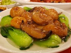 -九花山烤鸭店