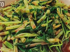 南乳汁空心菜-玲珑餐厅(陕西南路店)