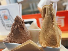 -野人先生现做冰淇淋(西安赛格店)