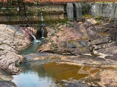 -广州白江湖森林公园