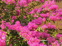 -杭州城北体育公园