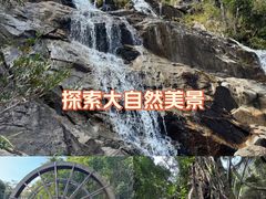 -霸王岭国家森林公园