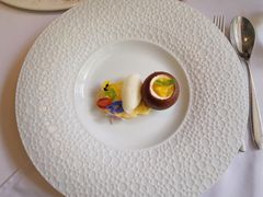 -蝶舍·MAISON PAPILLON