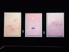 -罗红摄影艺术馆