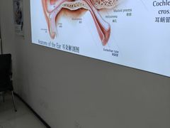-自然之声助听器·呼吸机(康桥旗舰店)