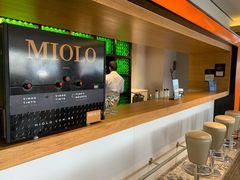 -圣保罗/瓜鲁柳斯-安德烈·弗朗哥·蒙托罗州长国际机场