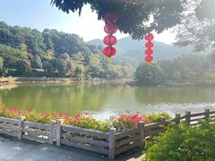 -广州市帽峰山景区