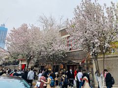 -成桂西餐厅(河北路店)