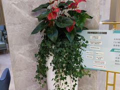 -团圆口腔·种植中心(锦江院区)