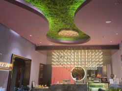 -花隐·美芙炫海菲秀皮肤管理中心