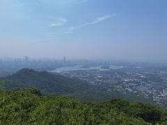 -紫金山山顶公园