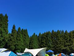 -武陵山森林公园