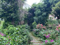 -园林美食城·本土农家菜(杨和镇店)