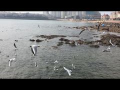 iphone_upload_pic-栈桥景区