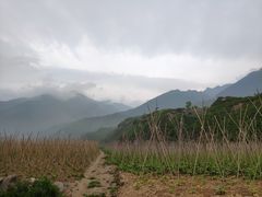 -小五台金河景区
