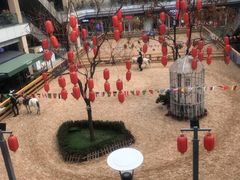 -Gucci(首创奥特莱斯店)