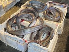 -东方国际水产中心