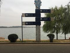-丁香湖公园