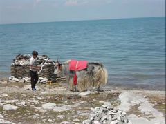 -青海湖国家重点风景名胜区