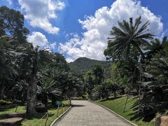 -深圳仙湖植物园